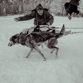 La Valgaude Traineau 2015