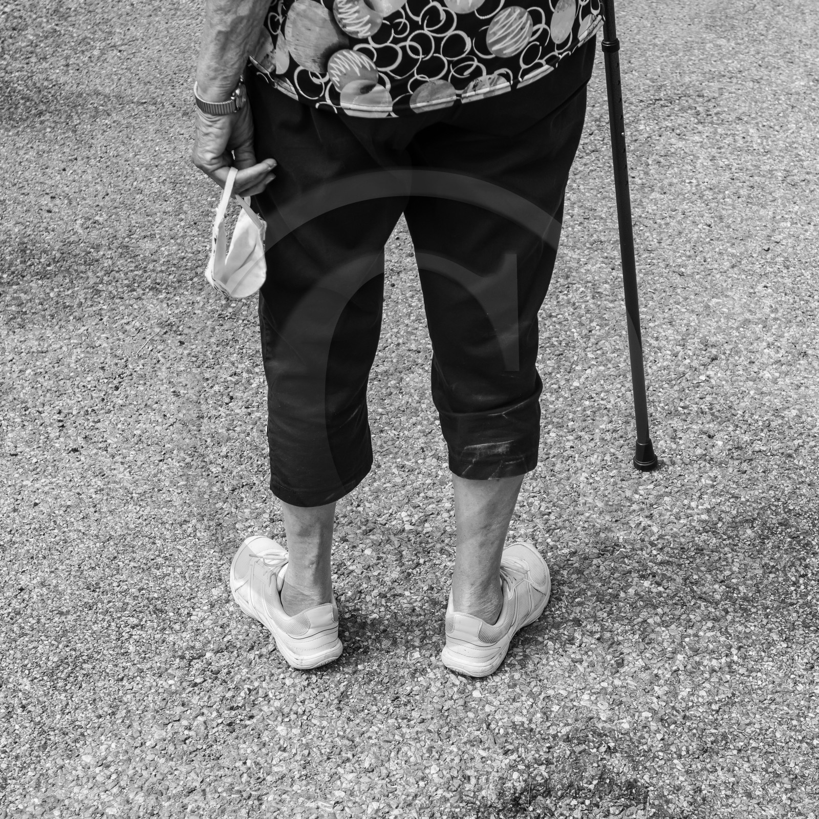 Promenades au jardin