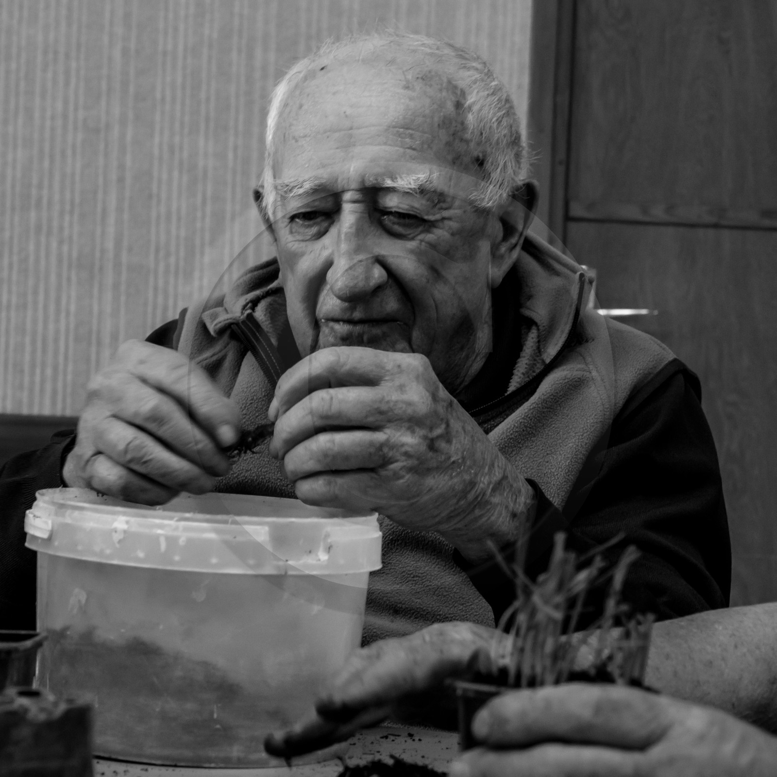 L'Ouort de Bénévent - 05 avril 2017