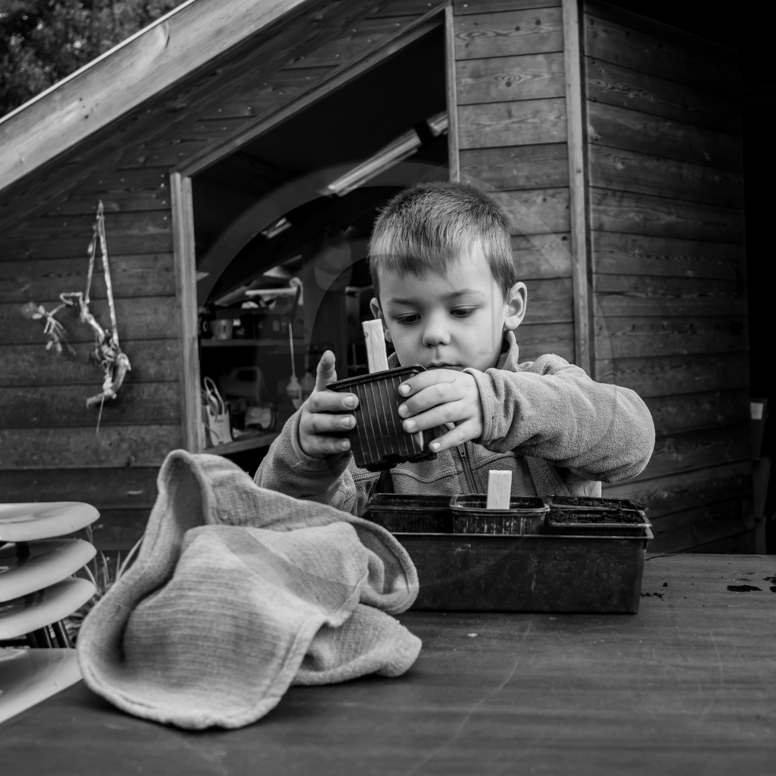 Semis, tournesols et jeux Semis, tournesols et jeux
