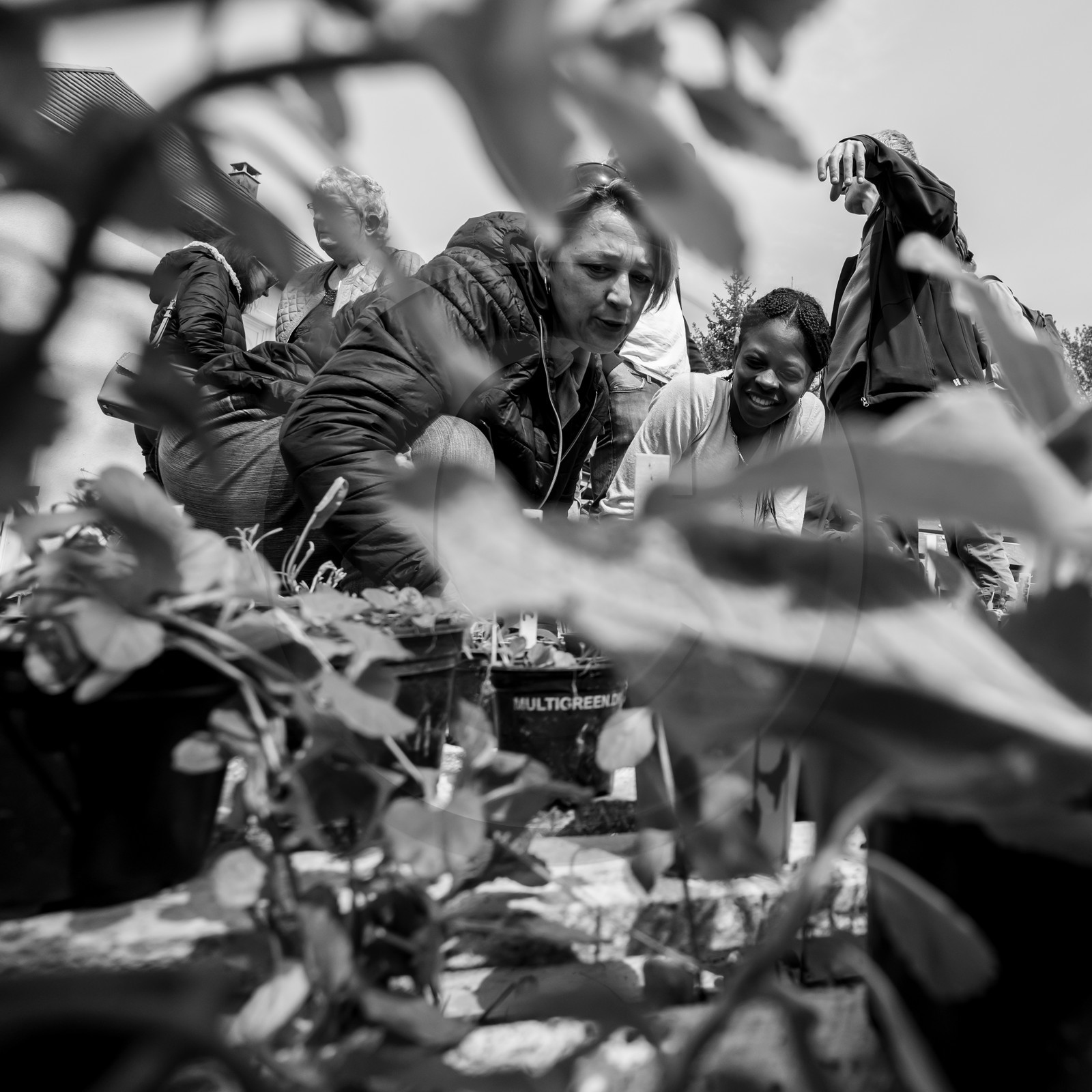 25 mai 2019 : Vide-Jardin de l'Ouort de Benevènt 25 mai 2019 : Vide-Jardin de l'Ouort de Benevènt