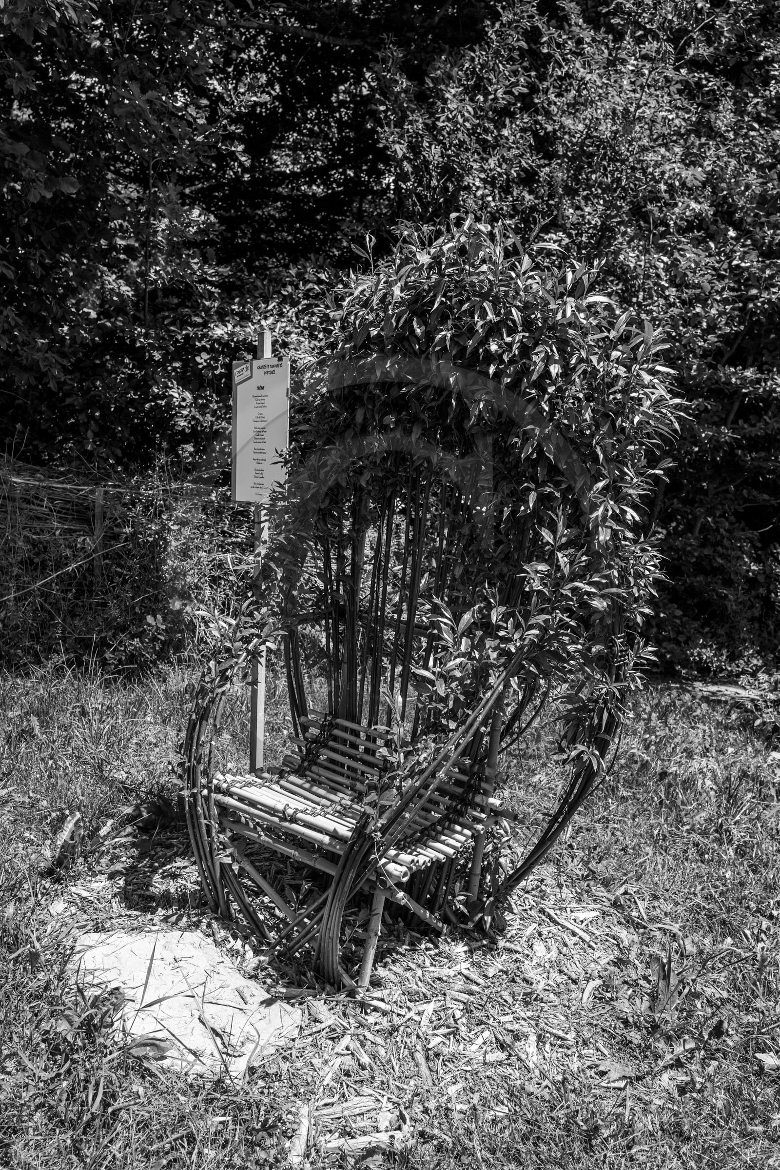 12 juin 2024 : création d'un jeu et jardinage 12 juin 2024 : création d'un jeu et jardinage