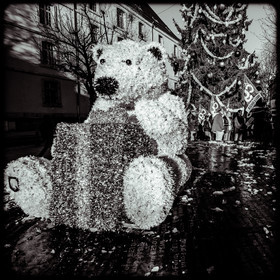 Manifestation à Gap le 12 décembre 2019.