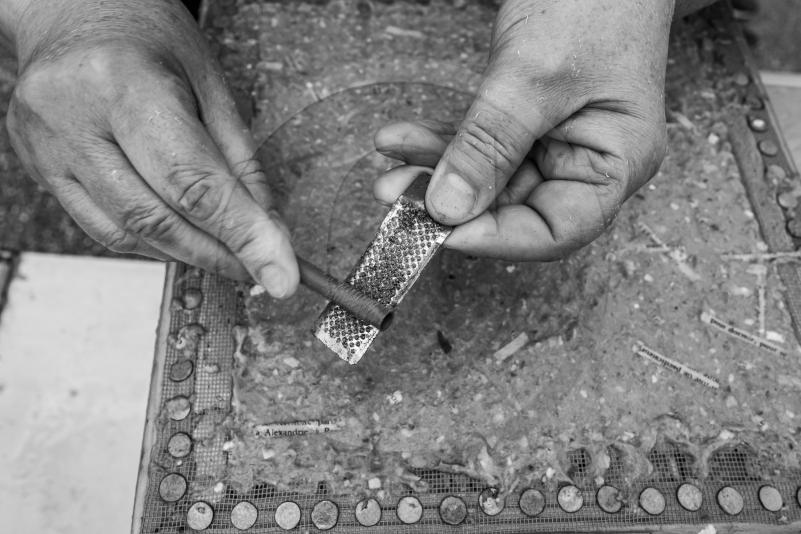 24 mai 2024 : Journée des aidants à l'Ouort 24 mai 2024 : Journée des aidants à l'Ouort