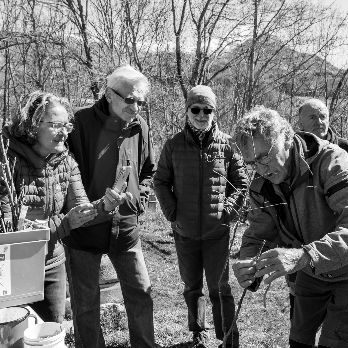 10 avril 2022 : Initiation à la greffe d'arbres fruitiers