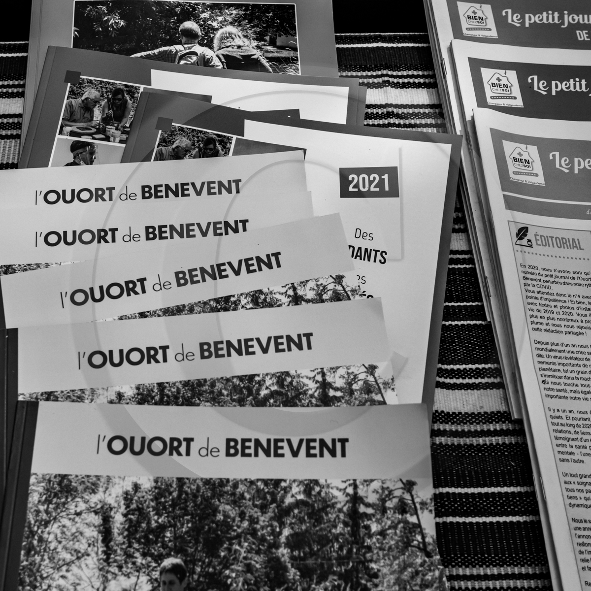 22 mai 2022 : Vide-Jardin