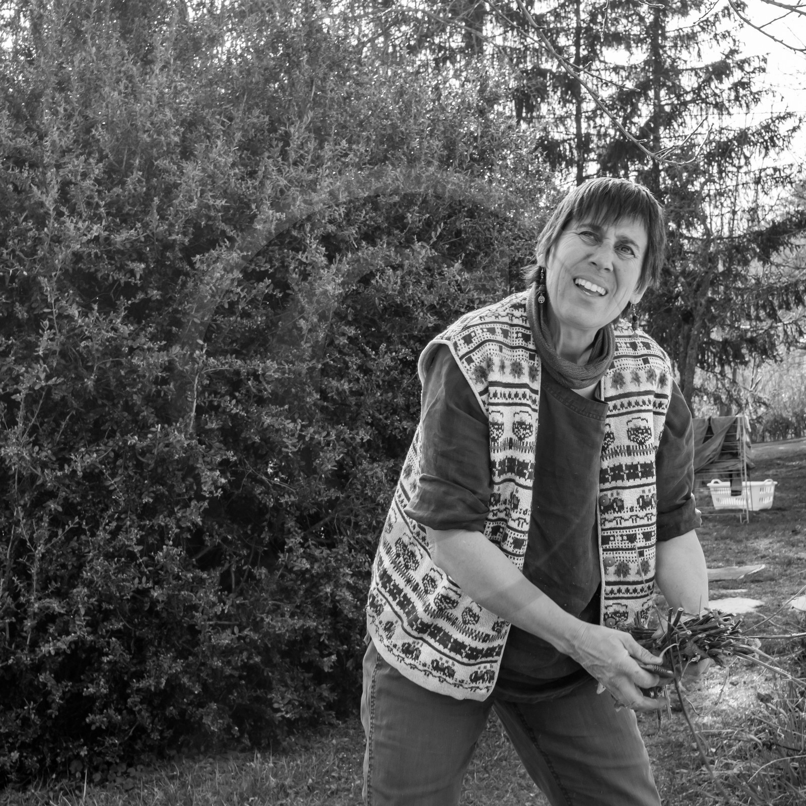 24 février 2021 : on taille, on prépare le jardin... 24 février 2021 : on taille, on prépare le jardin...