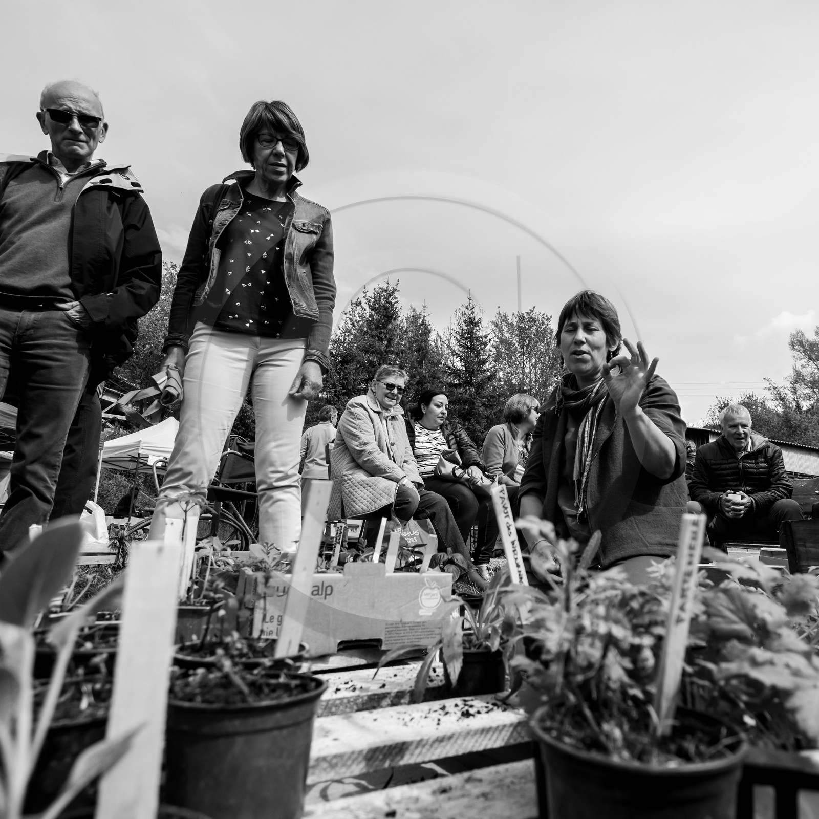25 mai 2019 : Vide-Jardin de l'Ouort de Benevènt