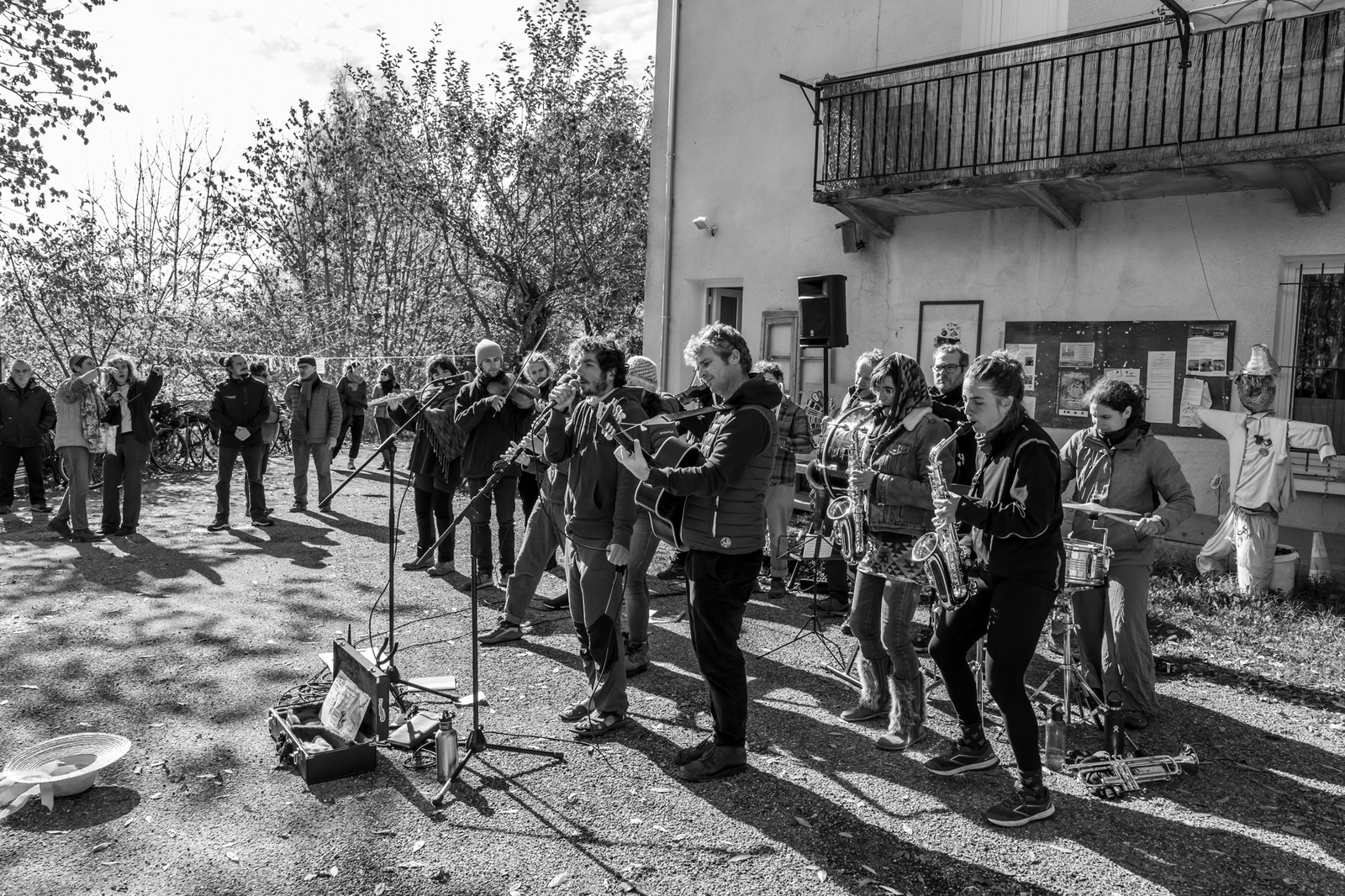 26 octobre 2025 : Les oiseaux de trottoir