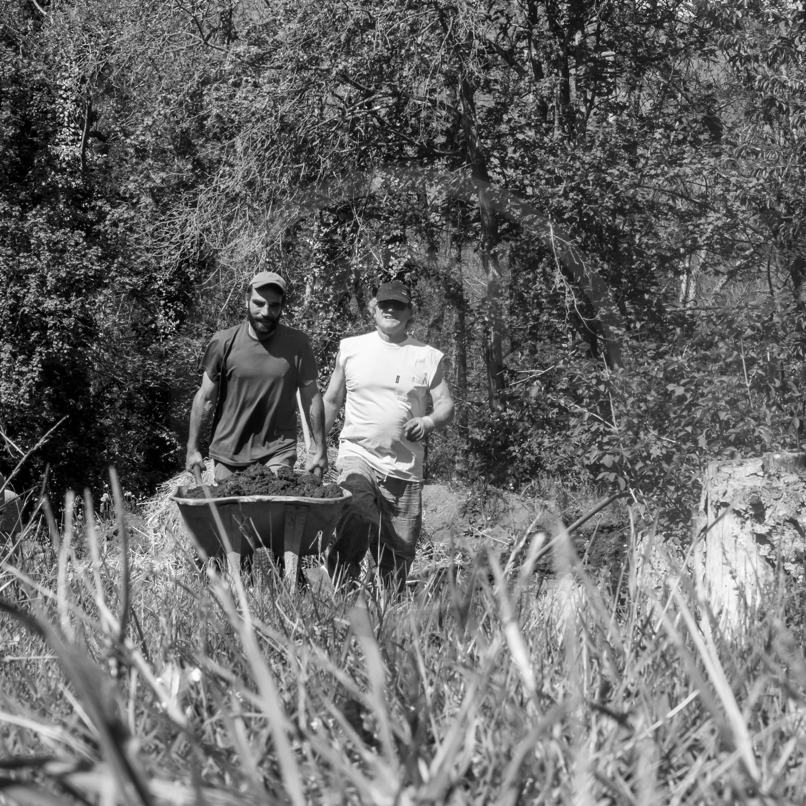 31 mai 2017 - Jardinage