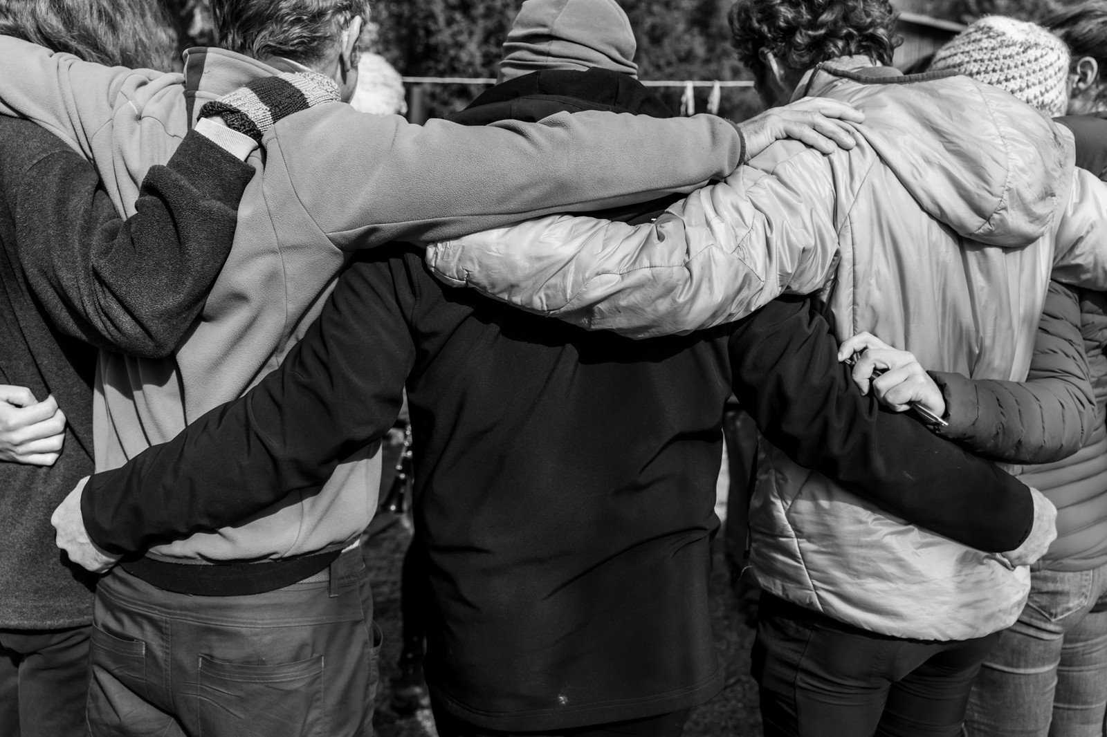 26 octobre 2025 : Les oiseaux de trottoir