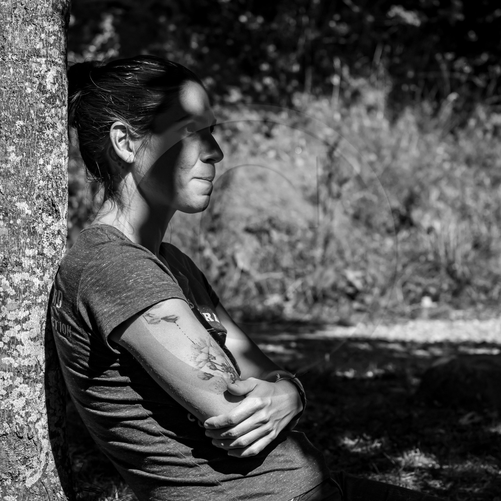 01 septembre 2021 : Promenade en cariole et contes