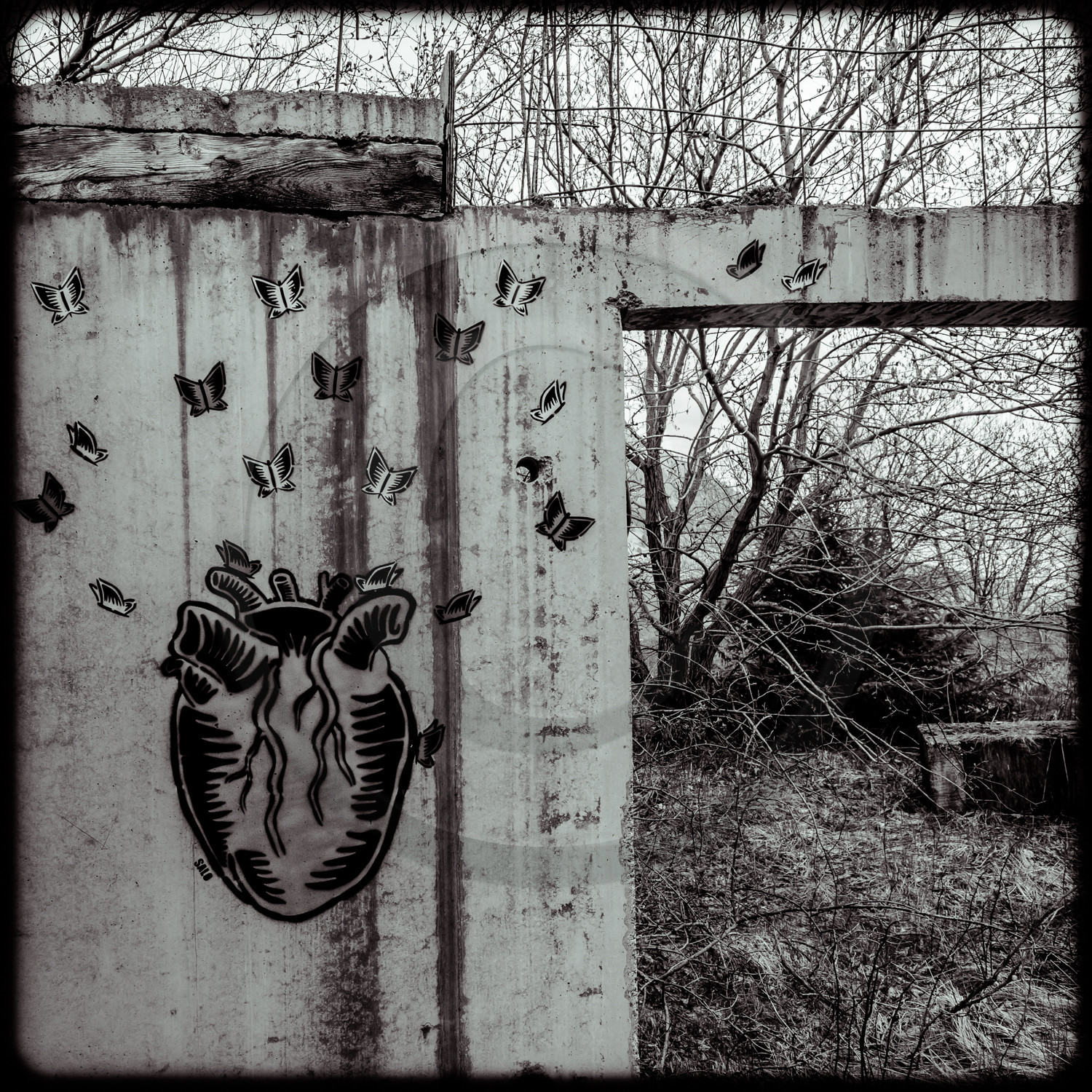 Saint Honoré 1500 Saint Honoré 1500