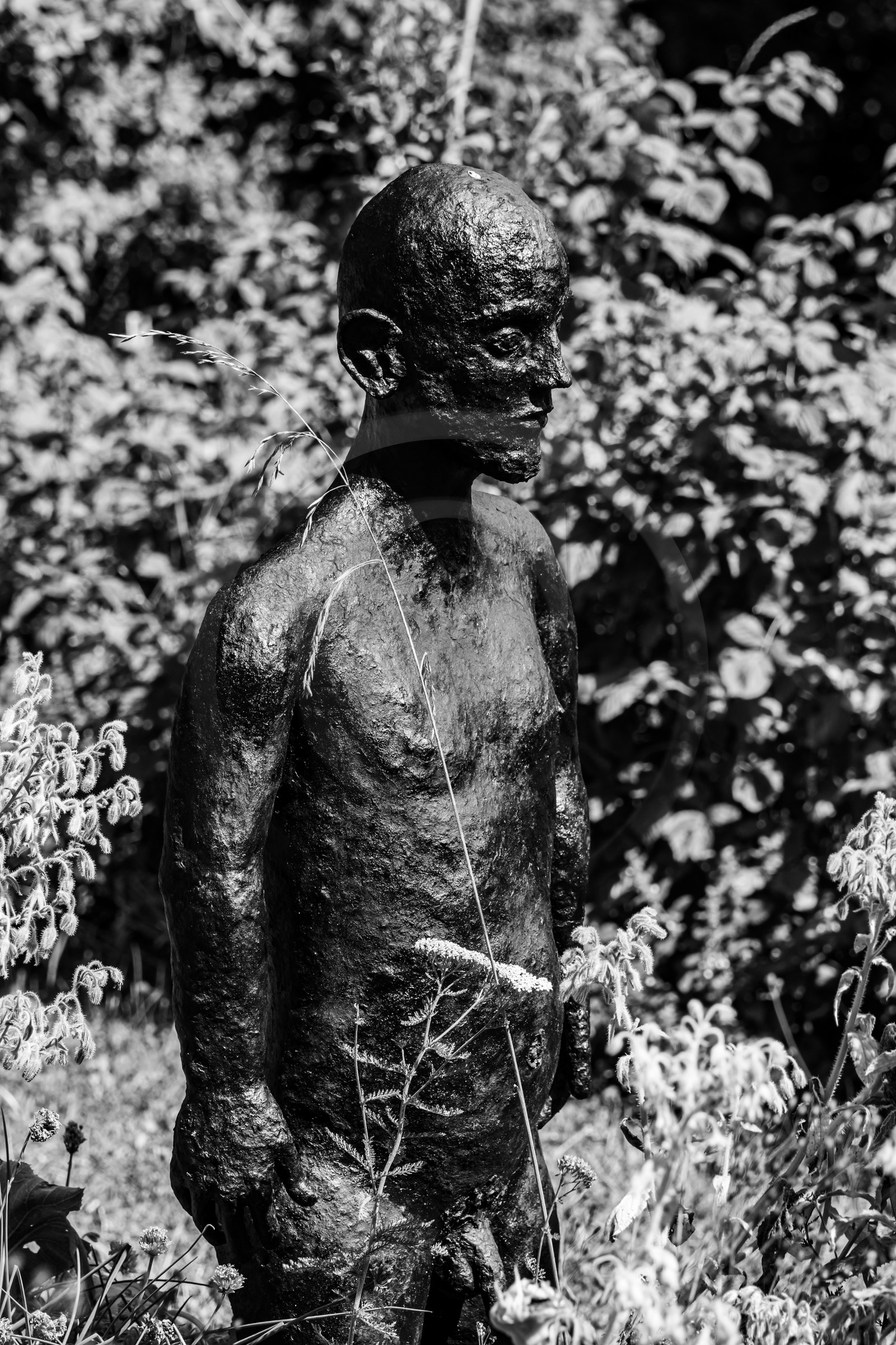 Exposition La forêt d'hommes, une création de Barbara Fougnon, artiste plasticienne Exposition La forêt d'hommes, une création de Barbara Fougnon, artiste plasticienne