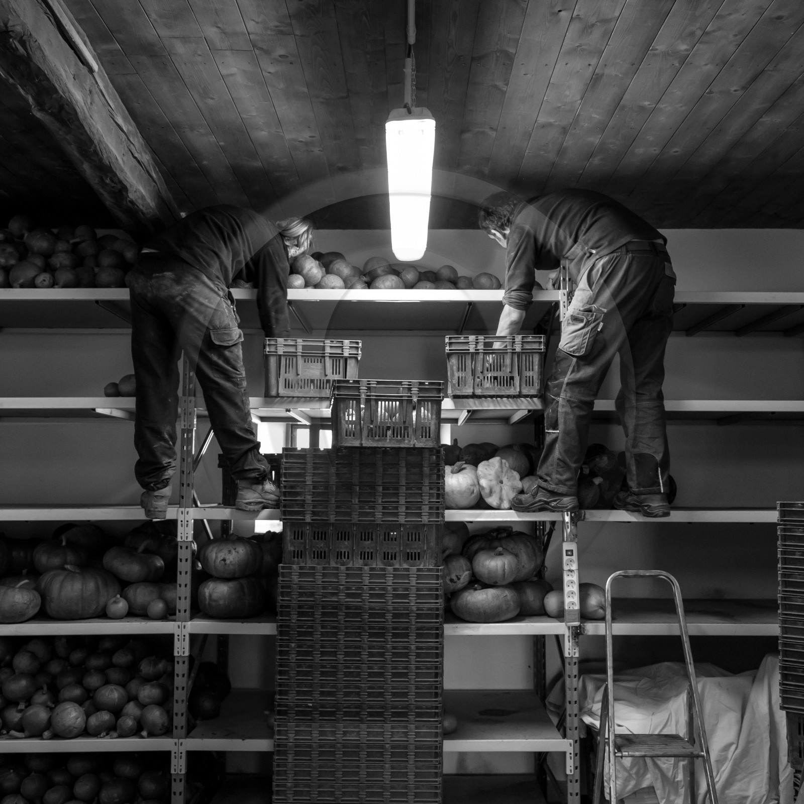 dlebioda-03102016-L1174234.jpg dlebioda-03102016-L1174234.jpg