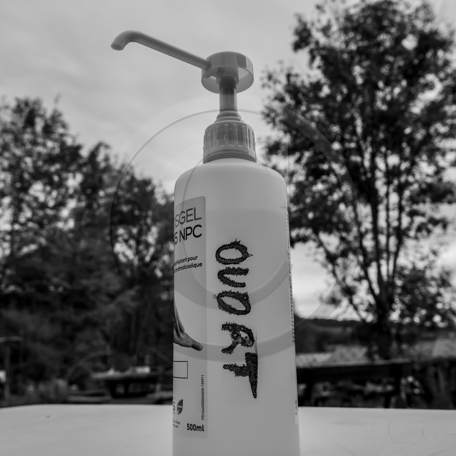 Semis, tournesols et jeux Semis, tournesols et jeux