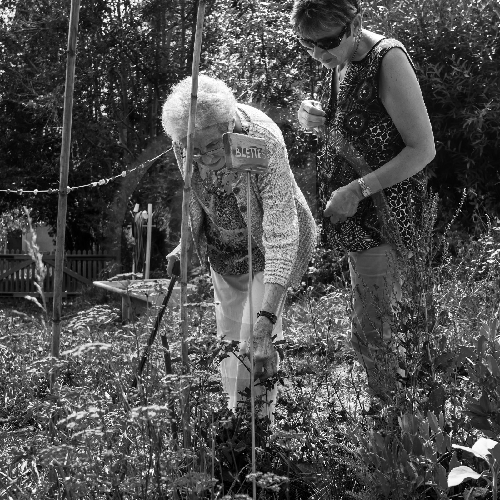 17 juillet 2019 : massages assis