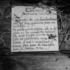 12 juin 2019 : Après-midi au jardin