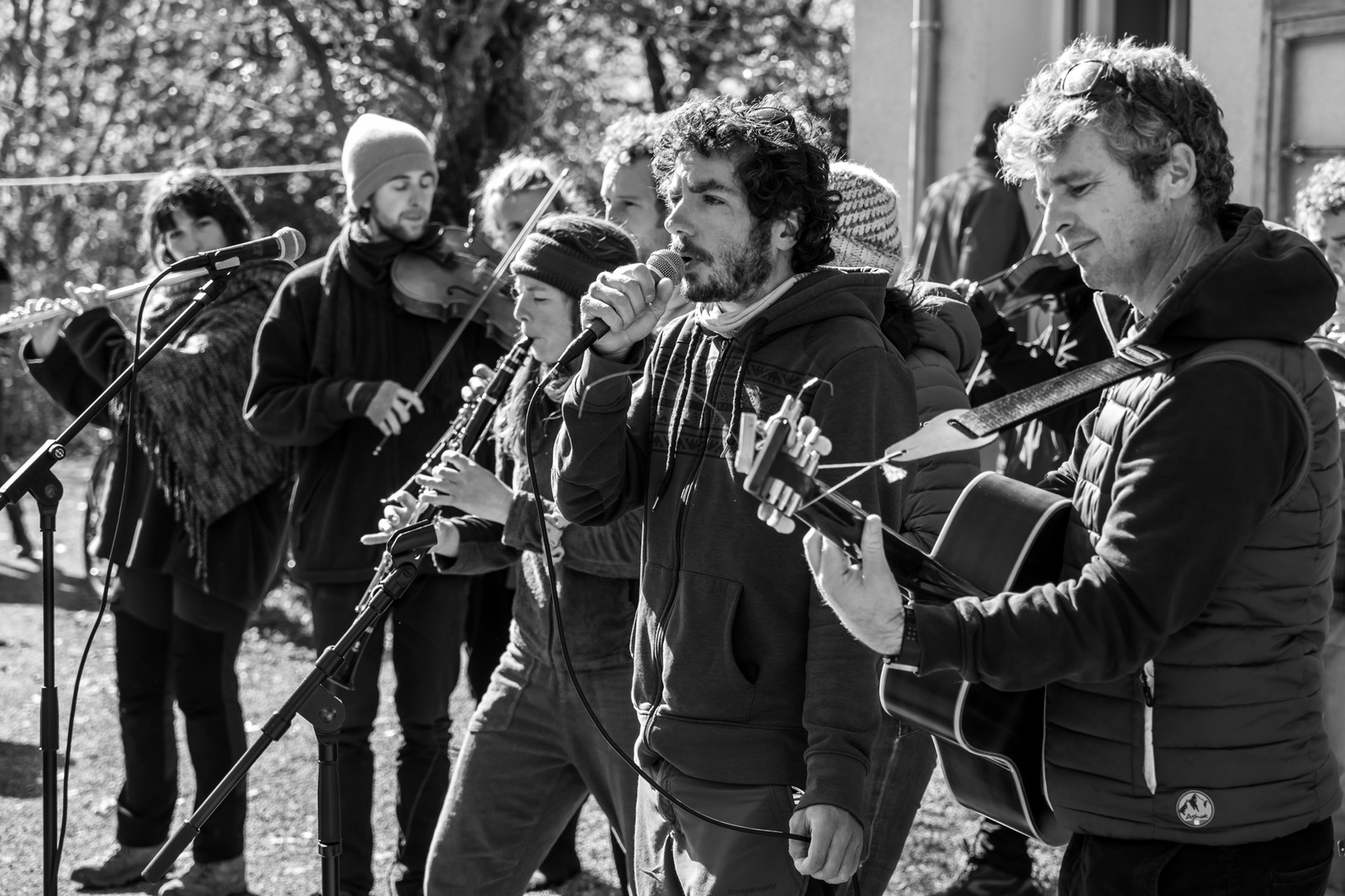 26 octobre 2025 : Les oiseaux de trottoir