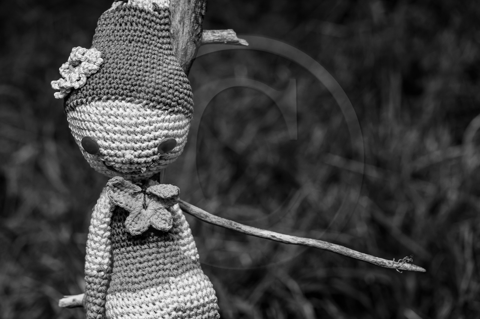 17 juillet 2023 : Journée des aidants et des aidés 17 juillet 2023 : Journée des aidants et des aidés