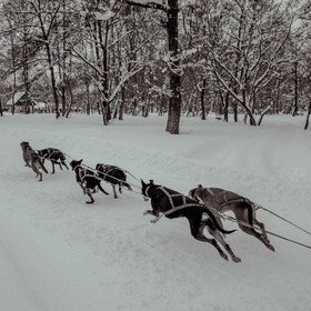 La Valgaude Traineau 2015