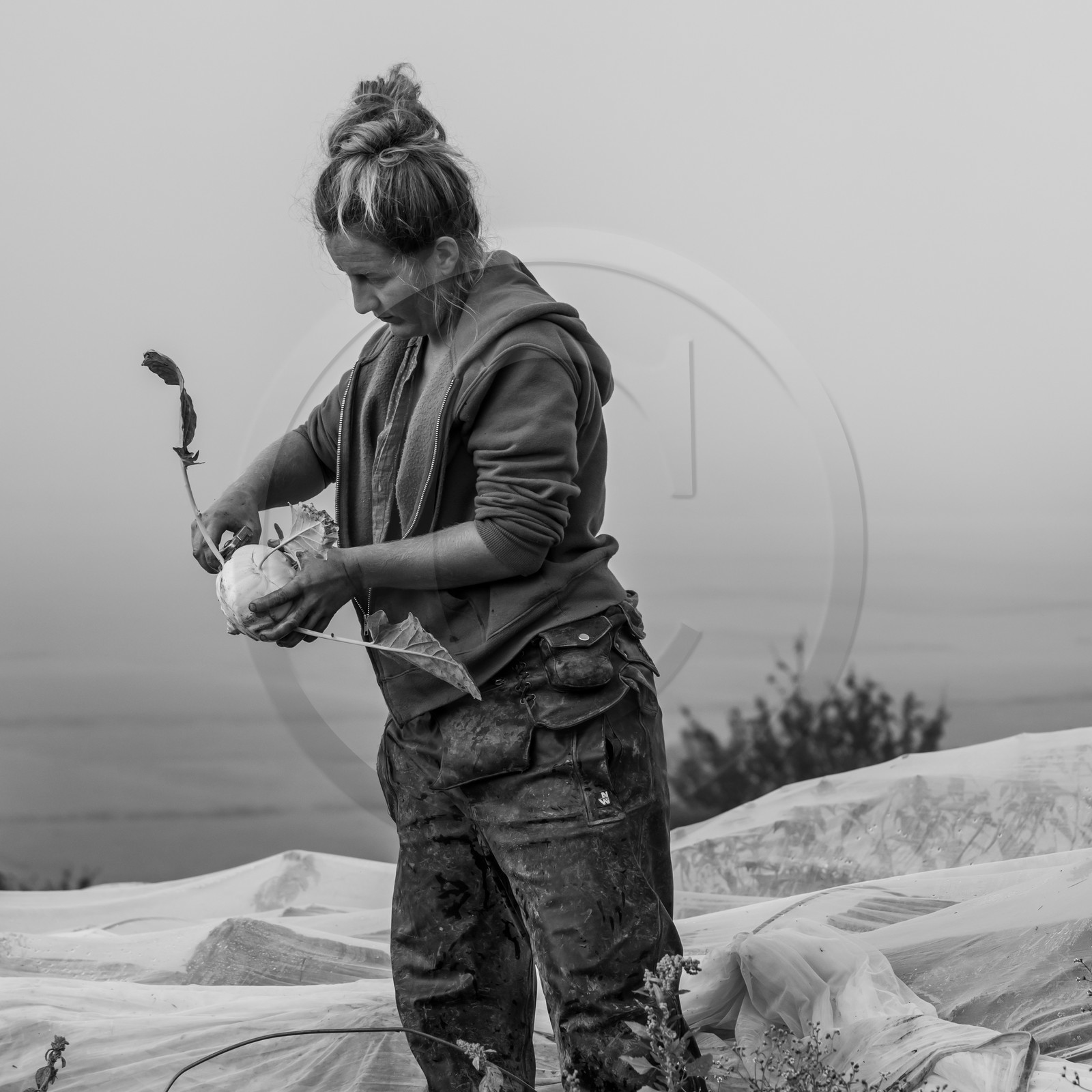 Maraichage biologique dans le Champsaur