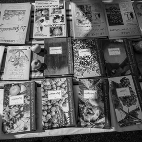 24 octobre 2021 : Fais ta soupe et ramène ta pomme