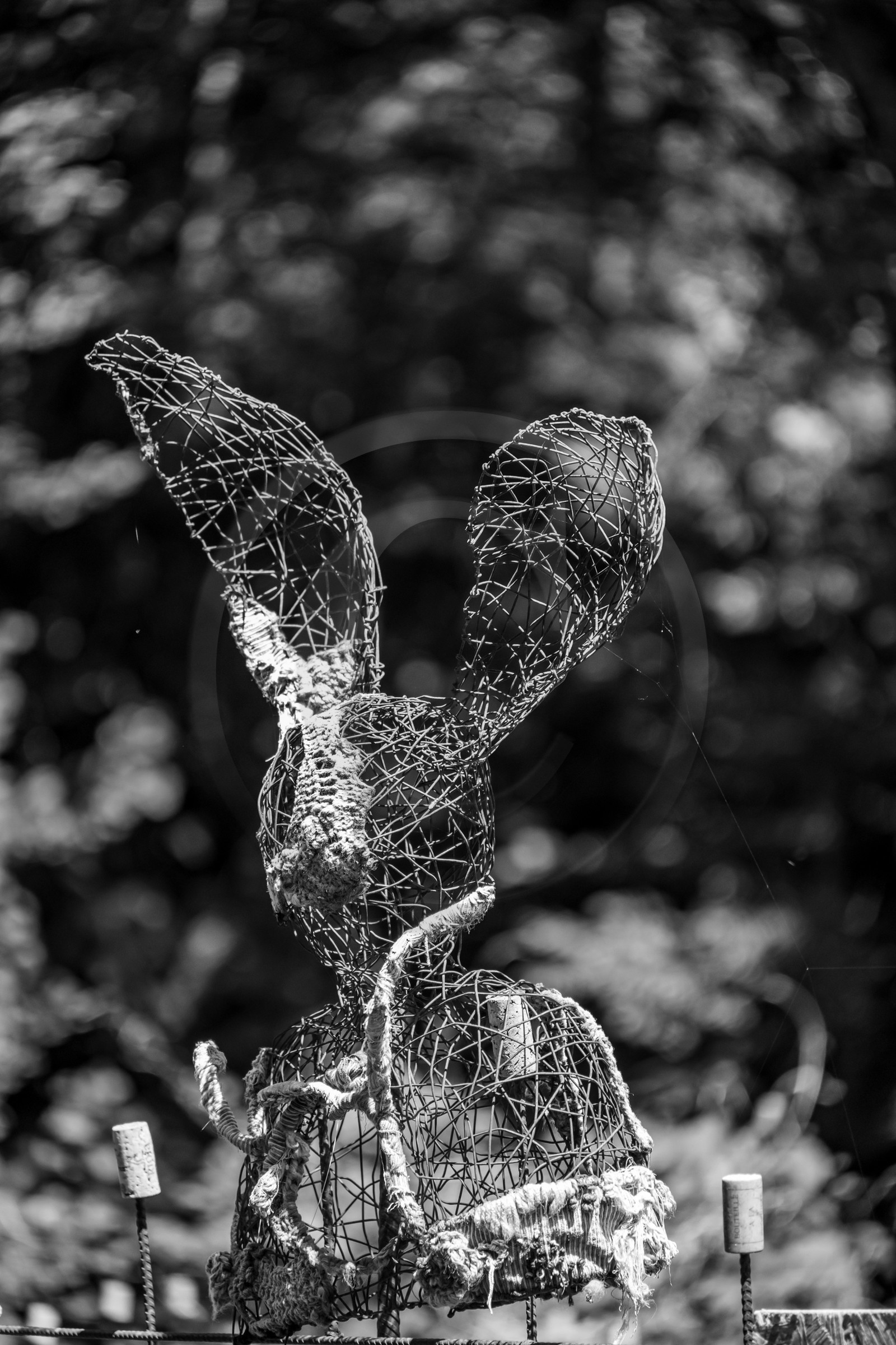 12 juin 2024 : création d'un jeu et jardinage 12 juin 2024 : création d'un jeu et jardinage