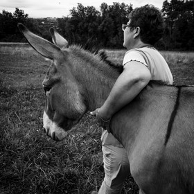 L'asinerie Le sentier des ânes