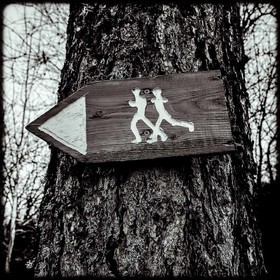 Promenade en forêt
