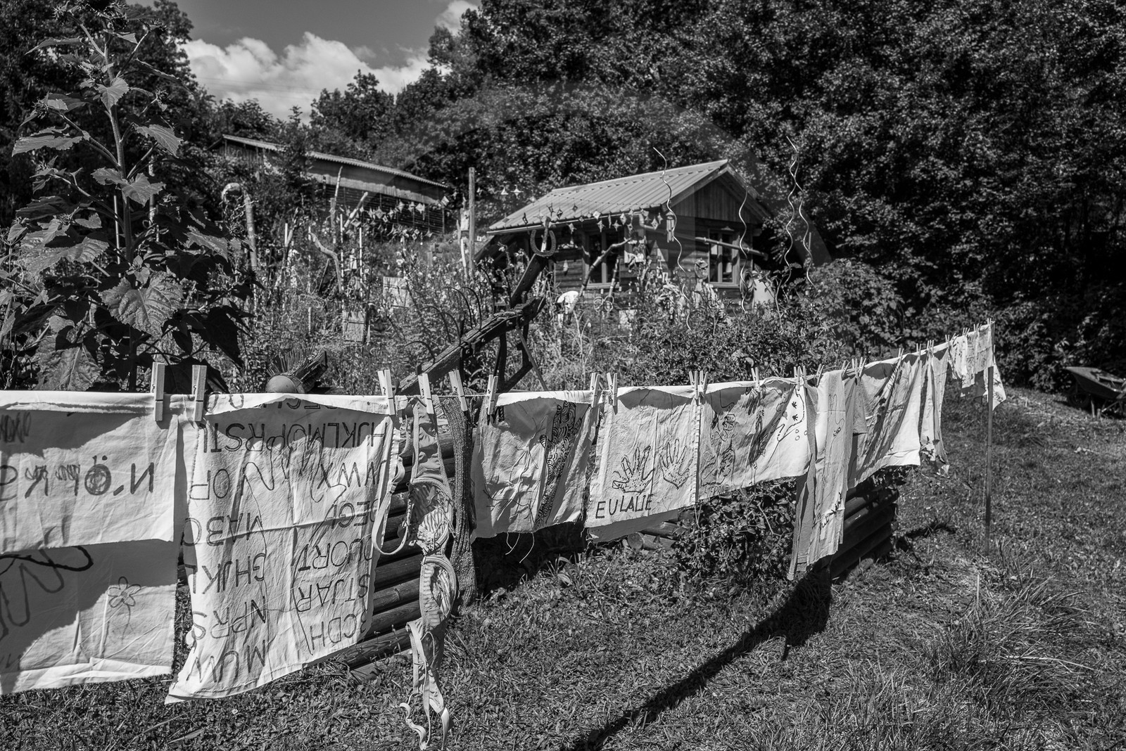 06 septembre 2023 : laine, couture et semis