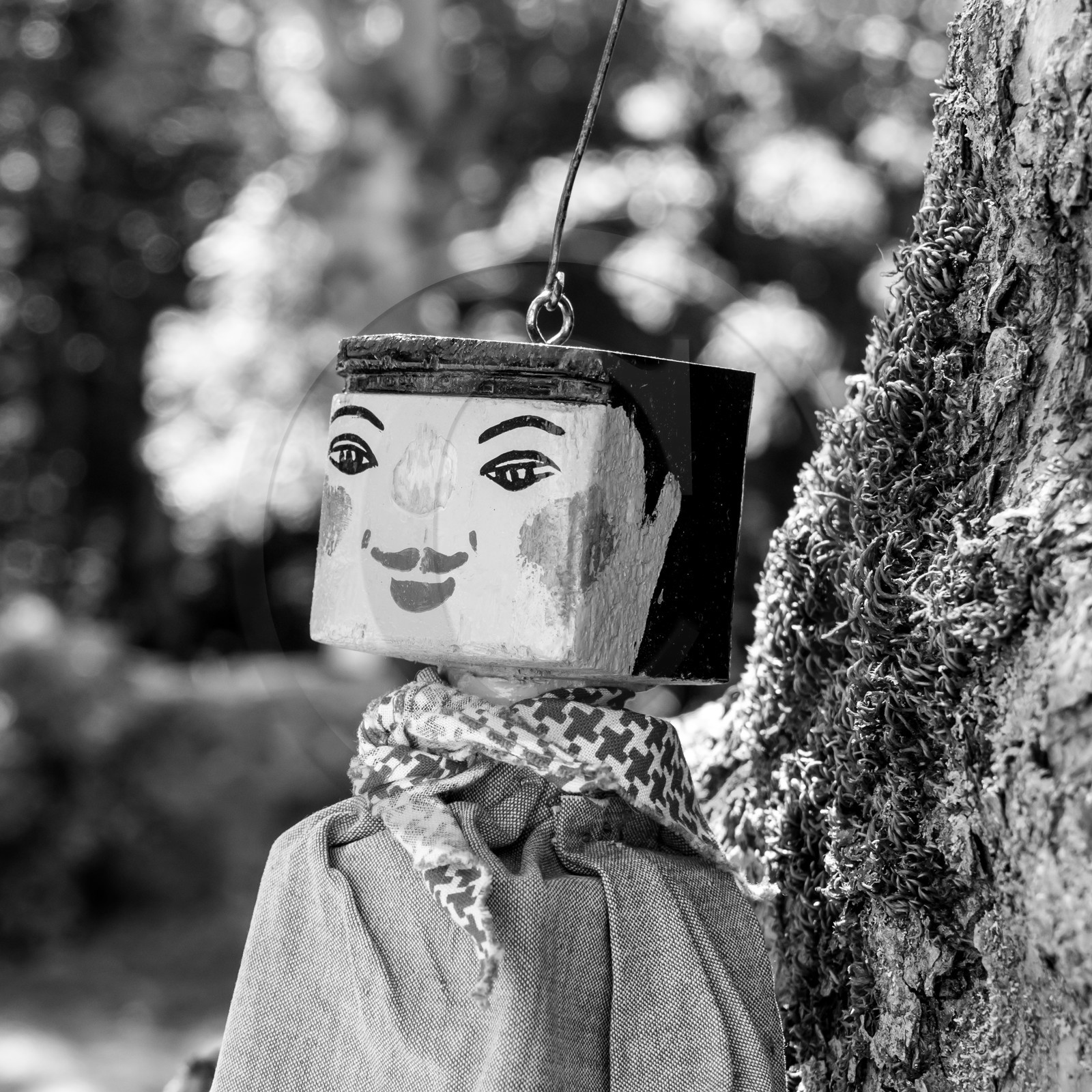 05 juillet 2017 - Installation épouvantails 05 juillet 2017 - Installation épouvantails