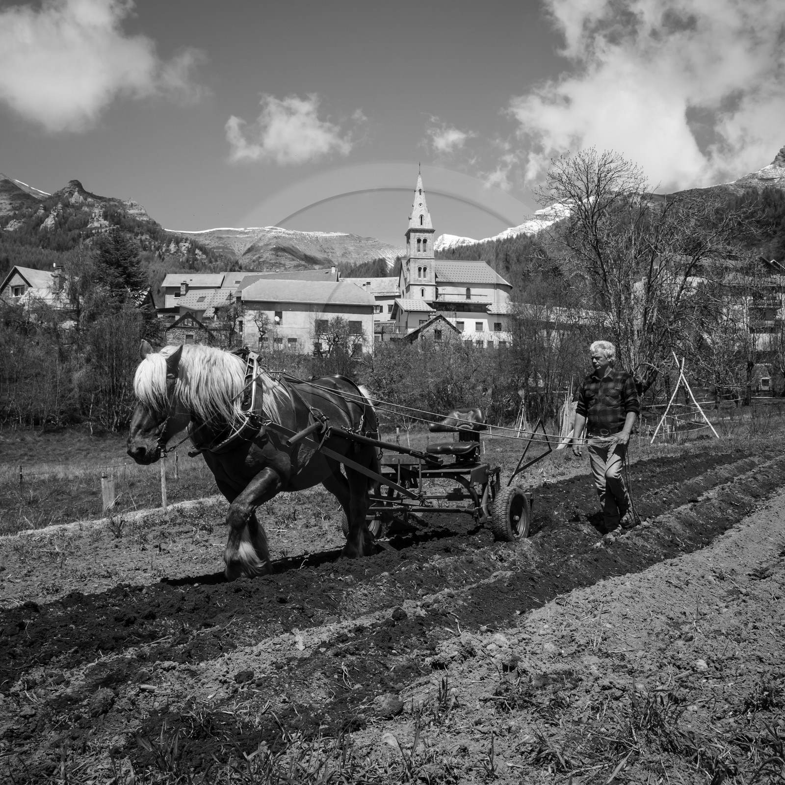 Labour avec un cheval