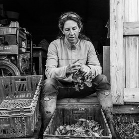 Maraichage biologique dans le Champsaur