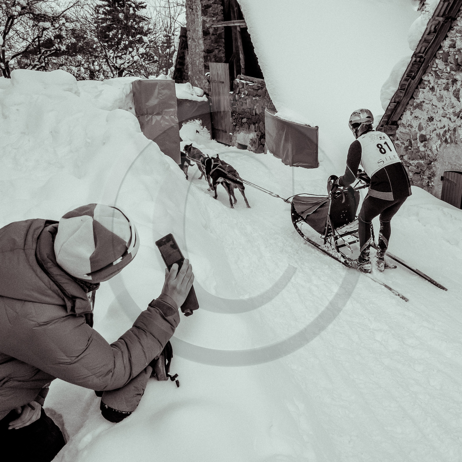 La Valgaude Traineau 2015