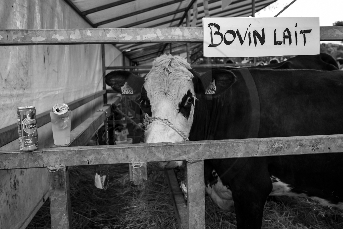 Rencontres paysannes à Saint-Bonnet en Champsaur
