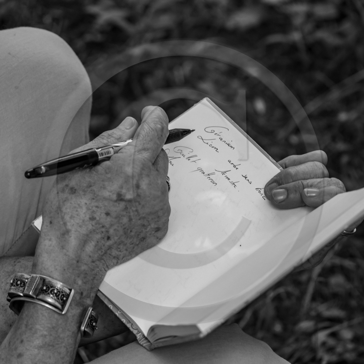 29 juin 2022 : Découverte des plantes sauvages 29 juin 2022 : Découverte des plantes sauvages