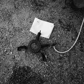 Pascal Daumaus, cuisinier et éducateur de goût