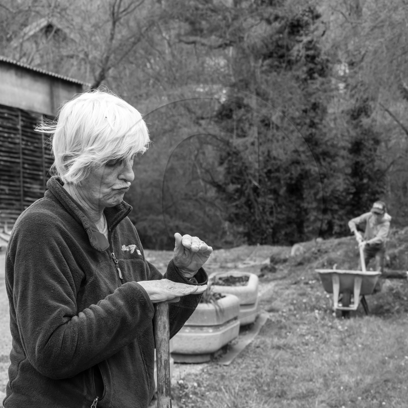 03 mai 2017 - Bac, semis et plantations 03 mai 2017 - Bac, semis et plantations