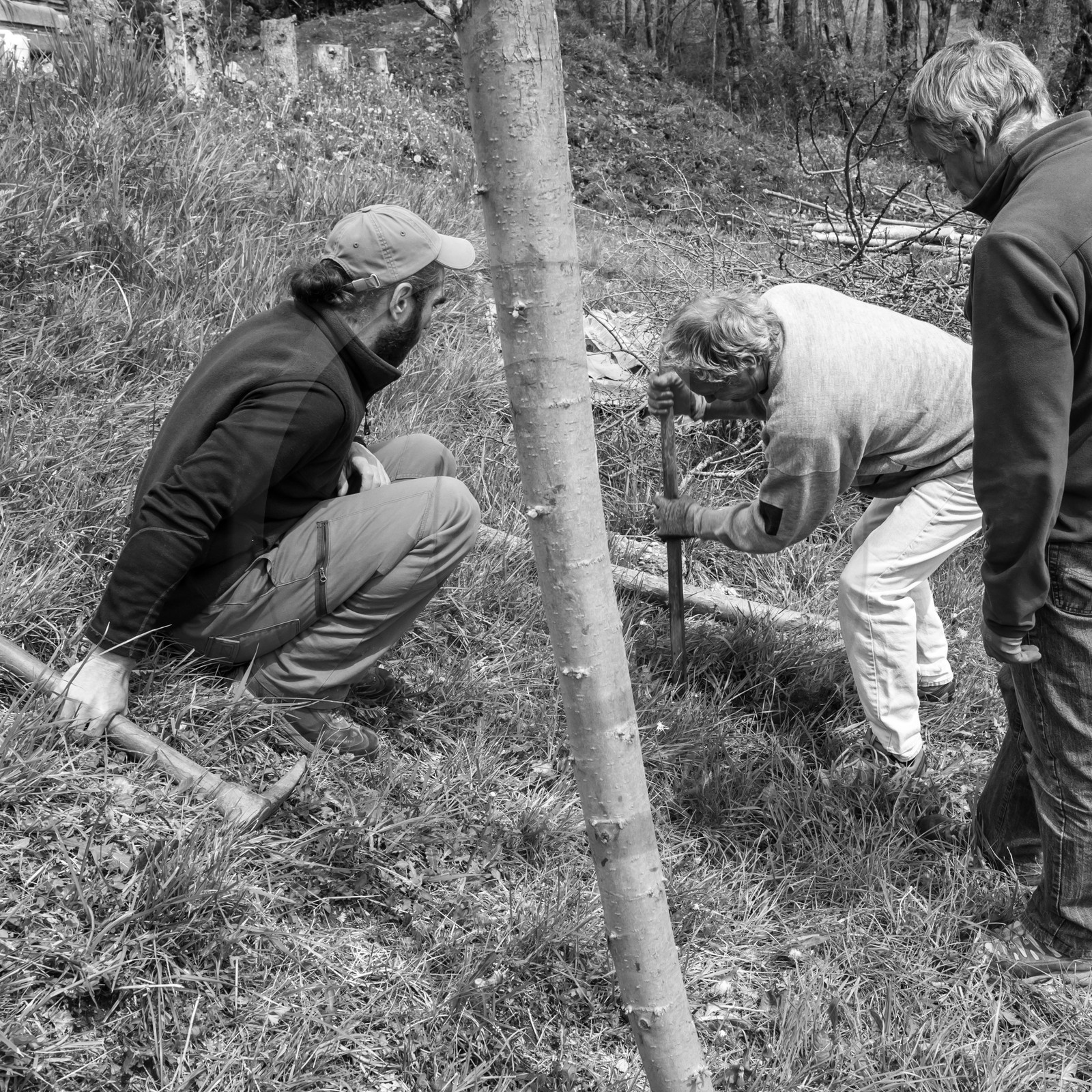 03 mai 2017 - Bac, semis et plantations