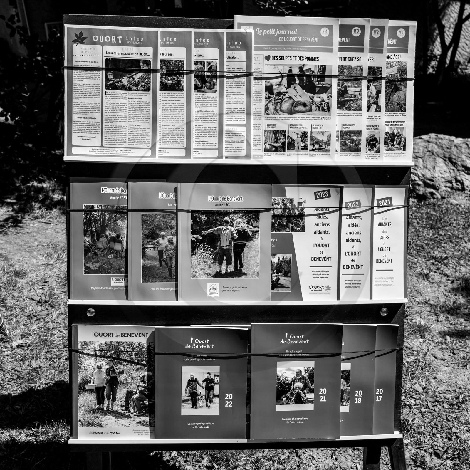 23 aout 2024 : Journée des aidants, aidés et anciens aidants 23 aout 2024 : Journée des aidants, aidés et anciens aidants