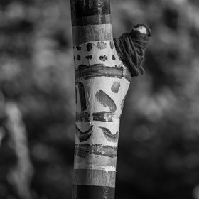 27 octobre 2021 : Un sentier et une réunion