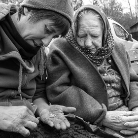 03 mai 2017 - Bac, semis et plantations
