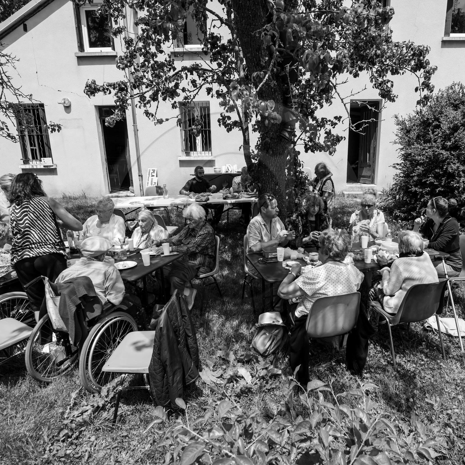 05 juin 2019 : Studio photo et promenade au jardin