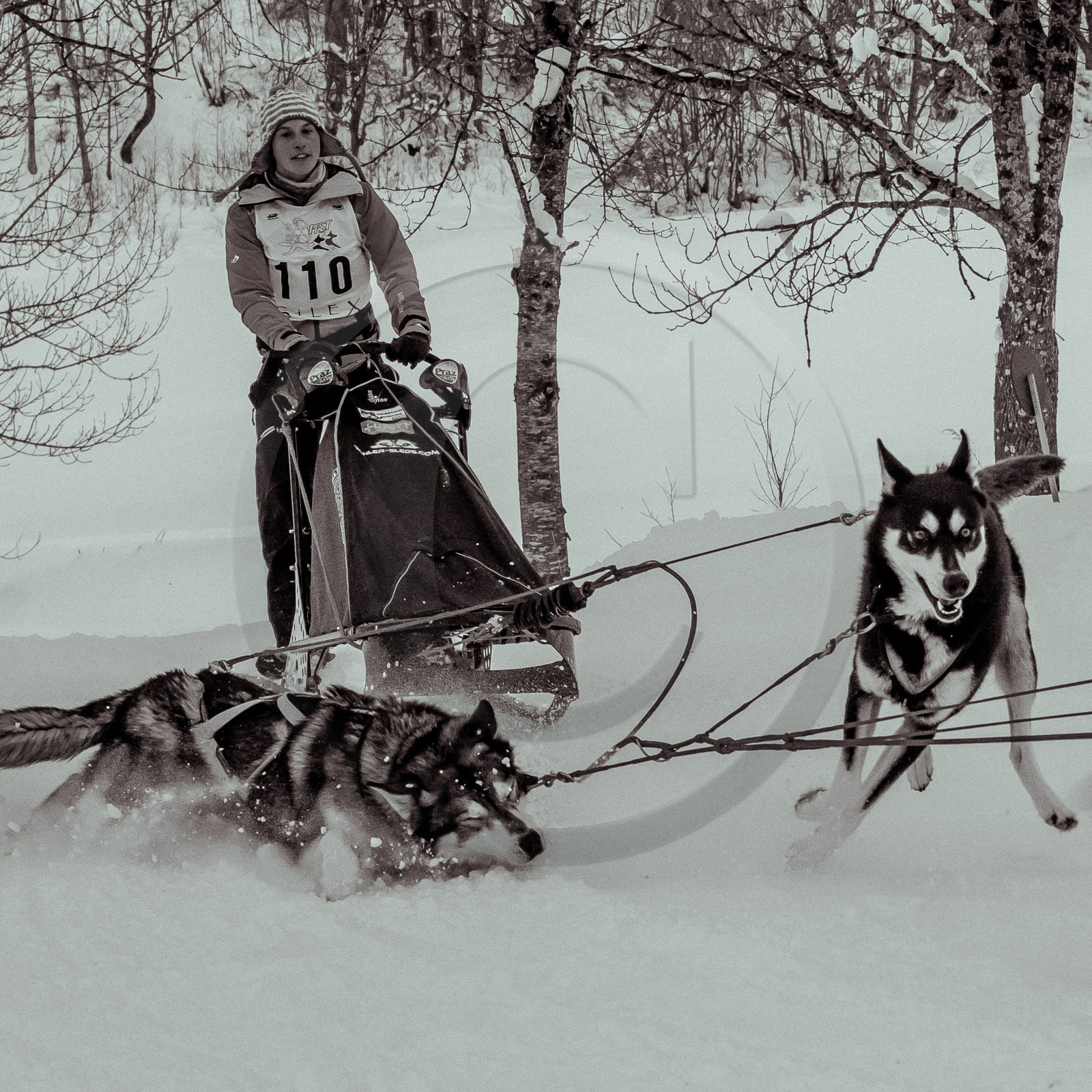 La Valgaude Traineau 2015