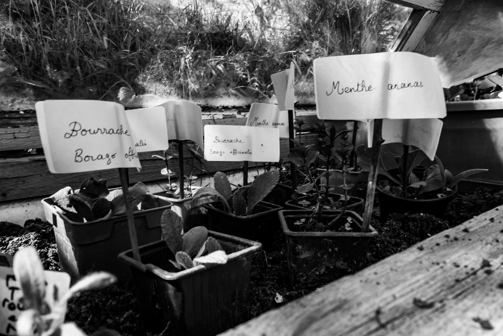 16 mai 2025 : Journée des aidants