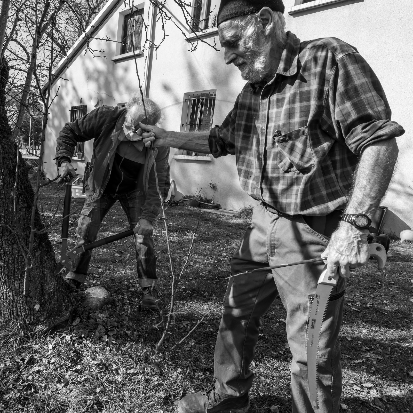 24 février 2021 : on taille, on prépare le jardin... 24 février 2021 : on taille, on prépare le jardin...