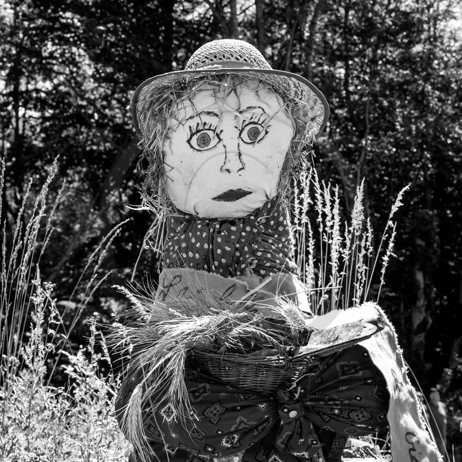 05 juillet 2017 - Installation épouvantails