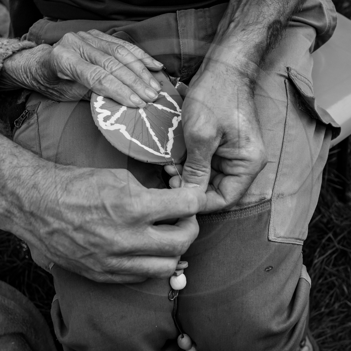 10 juin 2022 : 3ème journée des aidants