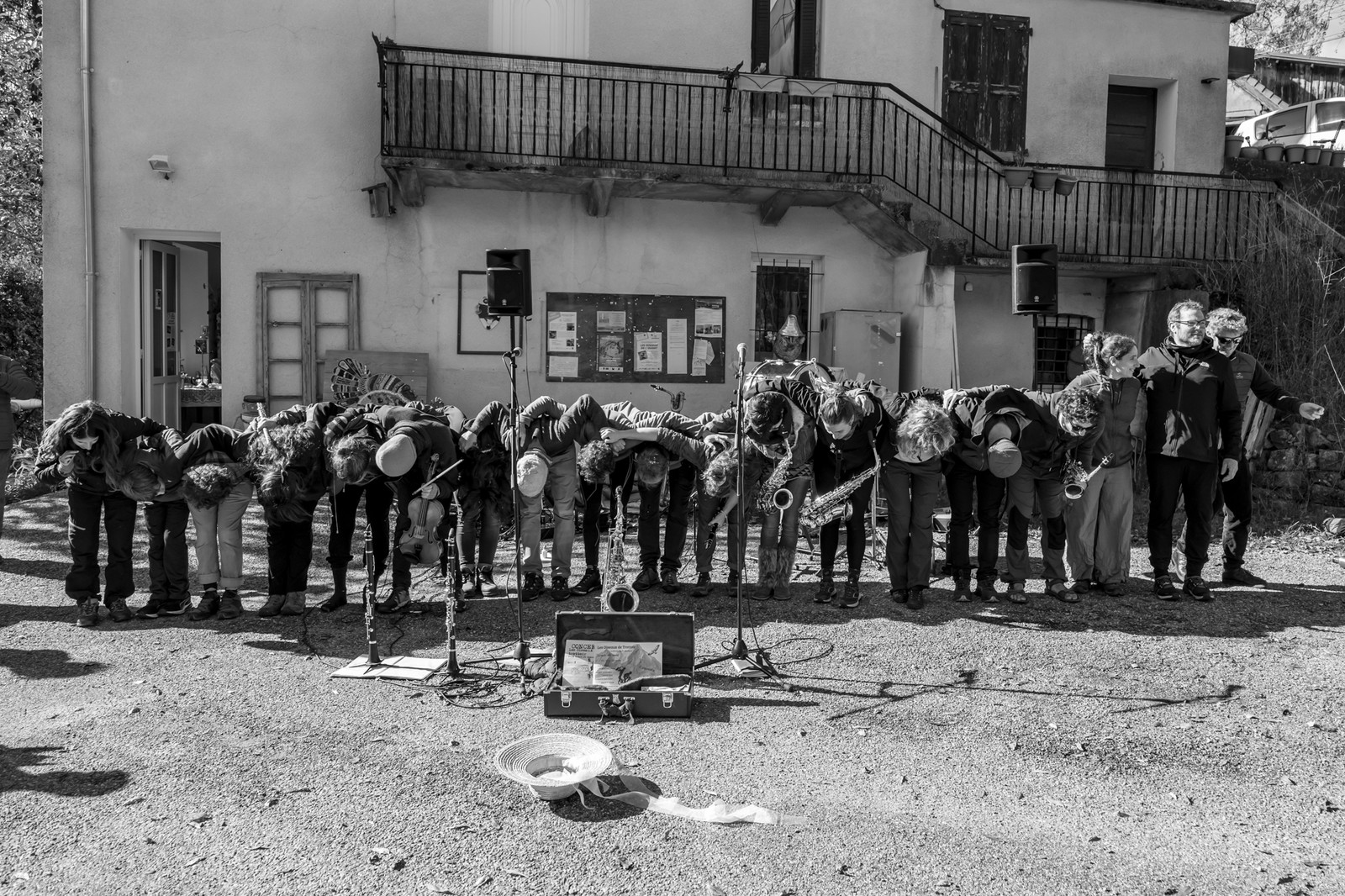 26 octobre 2025 : Les oiseaux de trottoir